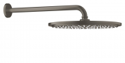 Верхний душ с тропическим душем Grohe коллекция Rainshower Cosmopolitan матовый графит 26066AL0
