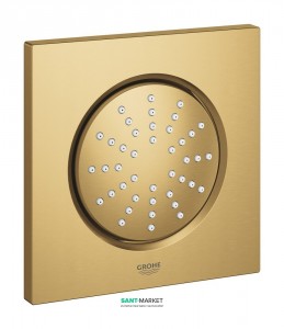 Бічний душ (форсунка) Grohe колекція Rainshower F-Series матовий холодний світанок 27251GN0
