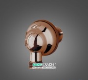 Підключення душового шланга Bossini Bos бронза V000140022031