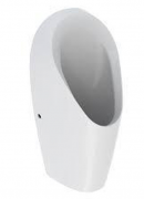 Писсуар Geberit Tamina безводный белый 116.141.00.1