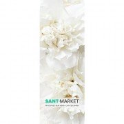 Радиатор декоративный Instal Projekt Inventio 65,6х180,6 см нержавеющая сталь декорированная панель INV-70/180EFS03