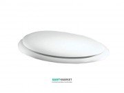 Сиденье с крышкой для унитаза Hatria Sculture белый Y0I501