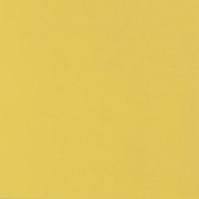 Плитка керамогранит Zeus Ceramica Absolute Yellow 60х60 см ZRXK11BR