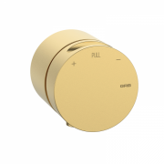 Смеситель для душа GRB in Cool с одним внешним выходом матовое золото 90900007