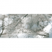 Декор InterCerama Magia 50х23 см серый 071-1 456506