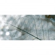 Декор InterCerama Magia 50х23 см сірий 071 456505