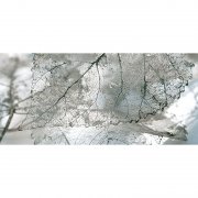 Декор InterCerama Magia 50х23 см сірий 071-1 456506