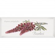 Декор InterCerama Pergamo 40х15 см белый 061-4 095911