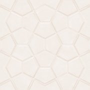 Плитка керамограніт Nowa Gala Aquamarina Light Beige dekor poler 59,7х59,7 см 5900423036653