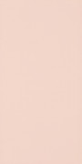Плитка настенная Paradyz Synergy Coral Sciana 30х60 см S---300X600-1-SYNE.CO