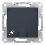 Розетка Schneider Electric Sedna IP44 із самозатискними клемами із заземленням шторками та кришкою графіт SDN3100570