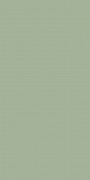 Плитка настінна Paradyz Feelings Green 29,8х59,8 см S-R-298X598-1-FEES.GN