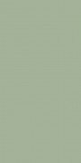 Плитка настінна Paradyz Feelings Green 29,8х59,8 см S-R-298X598-1-FEES.GN