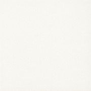 Плитка керамогранит Paradyz Gammo Bialy Gres Szkl. Mat. 19,8х19,8 см R---198X198-1-GAMO.BI