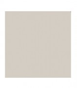 Плитка настенная Paradyz Gamma Popielata Polysk глянцевая 19,8х19,8 см S---198X198-1-GAMA.PP---B