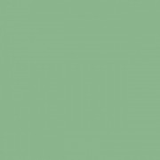 Плитка настенная Paradyz Gamma Zielona Polysk глянцевая 19,8х19,8 см S---198X198-1-GAMA.ZI---B