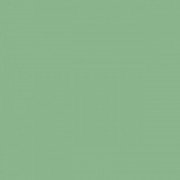 Плитка настінна Paradyz Gamma Zielona Polysk глянсова 19,8х19,8 см S---198X198-1-GAMA.ZI---B