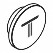 Кнопка-символ для термостата для душа Axor верхний душ хром 93308000