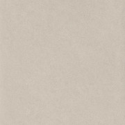 Плитка керамогранит Nowa Gala Concept Light Grey poler 59,7х59,7 см 5900423000234