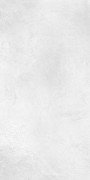 Плитка керамограніт Nowa Gala Ebro White 59,7х29,7 см 5900423038985