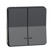 Механизм кнопочного выключателя Schneider Electric Mureva Styl двойной с подсветкой IP55 антрацит MUR35228