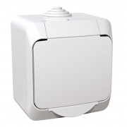Розетка Schneider Electric Cedar Plus с заземлением шторками и крышкой белый WDE000540