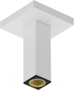 Держатель для верхнего душа Hansgrohe Pulsify E потолочный 10 см латунь/пластик матовый белый 24338700