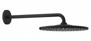 Верхний душ Grohe Rainshower Mono 310 с кронштейном 1 режим фантомный черный 22121KF0