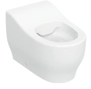 Унитаз напольный Geberit Bambini безободковый 27.5х44 см сантехнический фарфор белый 502.965.00.1