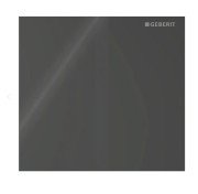 Система управління пісуаром Geberit Square з електронним запуском змиву чорний 116.227.SJ.1