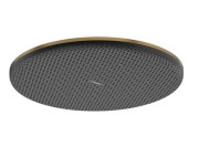 Лійка для верхнього душу Hansgrohe Raindance Alive S 300 1 режим бронза 24520140