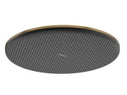 Лійка для верхнього душу Hansgrohe Raindance Alive S 300 1 режим EcoSmart бронза 24521140