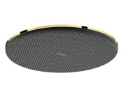 Лейка для верхнего душа Hansgrohe Raindance Alive S 300 1 режим EcoSmart золото 24521990