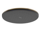 Лейка для верхнего душа Hansgrohe Raindance Alive S 300 1 режим бронза 24520140