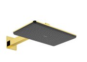 Верхній душ Hansgrohe Raindance Alive Q 34х21 см 2 режиму EcoSmart з тримачем золото 24551990